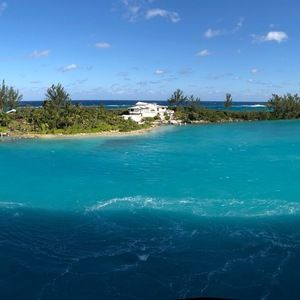 Meet your Posher, Natalya